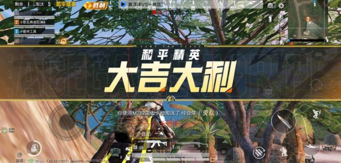 和平精英免费外挂 - 热门科技全功能免费体验